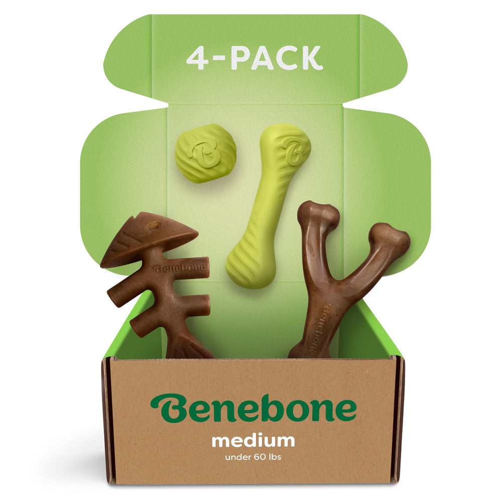 Benebone: pelota de goma natural para masticar y juego diario.