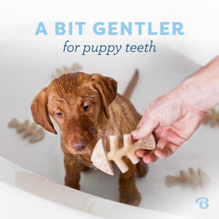 Benebone Puppy Fishbone, textura suave para dentición de cachorros.
