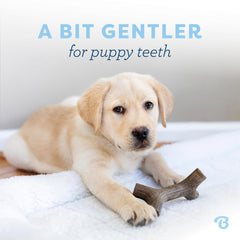 Benebone Puppy Maplestick Zaggler con tocino real, aroma para cachorros.
