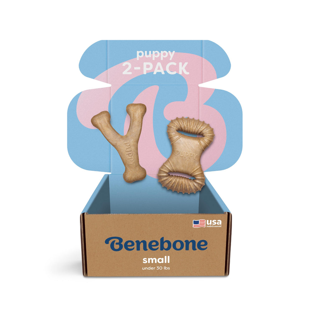 Benebone Puppy masticable dental con sabor a pollo real para perros pequeños.