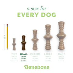 Benebone Zaggler, hecho en EE. UU. con nylon duradero para uso prolongado.