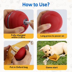 BENTOPAL juguete móvil para perro, movimiento activado para sesiones cortas.