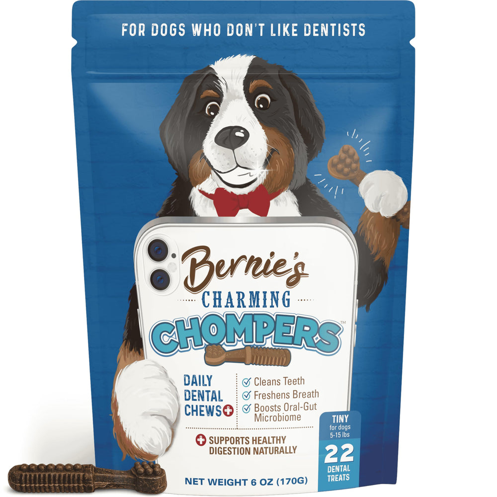 Bernie's Charming Chompers: mordedor dental diario para perros; ayuda a dientes limpios.