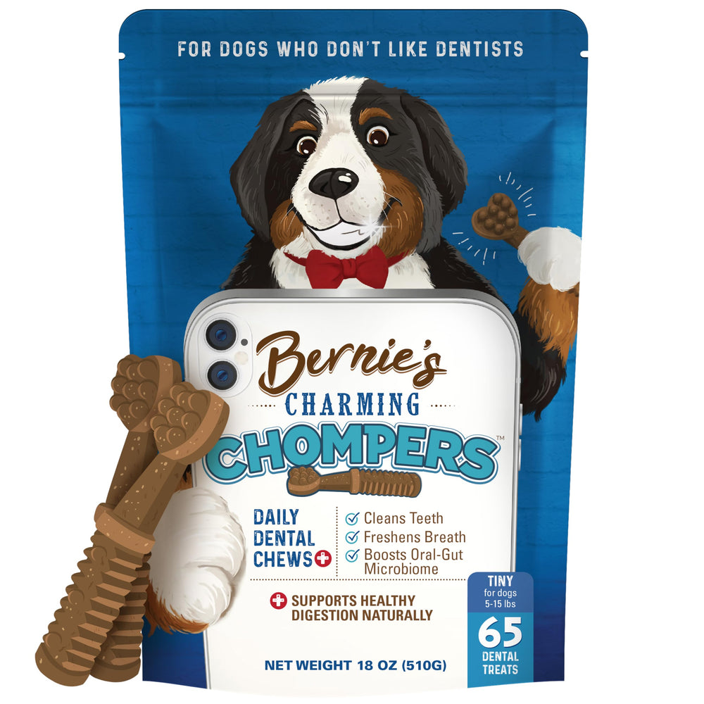 Bernie's Charming Chompers en envase dental para perros, apoyo a la higiene bucal diaria.