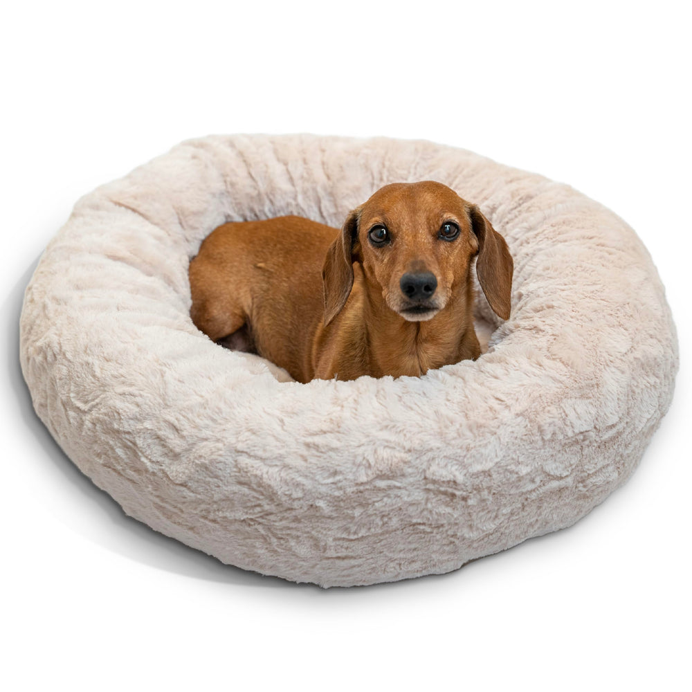 Best Friends by Sheri, cama-dona-calma-frente, ofrece seguridad para siestas tranquilas.