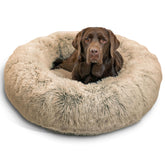 Best Friends Sheri cama donut relajante para siestas tranquilas en perros grandes