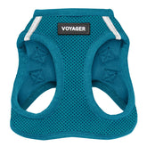 Best Pet Supplies Voyager arnés entrada turquesa, cómodo para paseos diarios