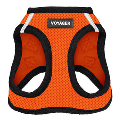 Arnés Voyager paso-entrada: ajuste cómodo para paseos diarios.