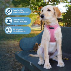 Best Pet Supplies Voyager bandas reflectantes rosa; mejor visibilidad