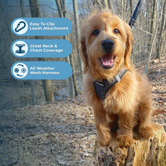 Best Pet Supplies Voyager Harnais porté, facilité d’entrée et ajustement.
