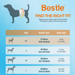 Pañal BESTLE para perro macho: absorbente alto para mantener al perro seco