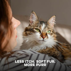 Pastillas sin olor de BestLife4Pets para gato: administración fácil.