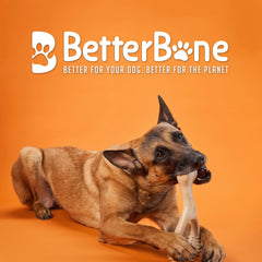 BetterBone sin nylon, material natural y no tóxico para masticar.