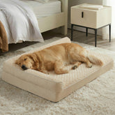 Cama ortopédica BFPETHOME para perros grandes con espuma de apoyo para articulaciones y músculos.