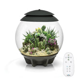 biOrb AIR 30 Terraario-globo: vista 360 para observar plantas tropicales.
