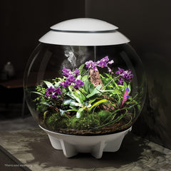 biOrb Aire 60 LED Iluminación automatizada favorece el desarrollo de plantas durante el día