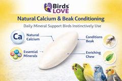 Birds LOVE soporte integrado para jaula, instalación rápida