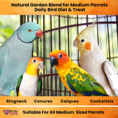 Birds LOVE mezcla colorida: tonos naturales para captar la atención de las aves.