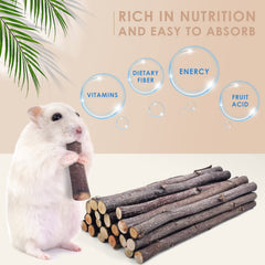 Bissap palitos de manzana para chinchilla: textura firme y mordida segura.