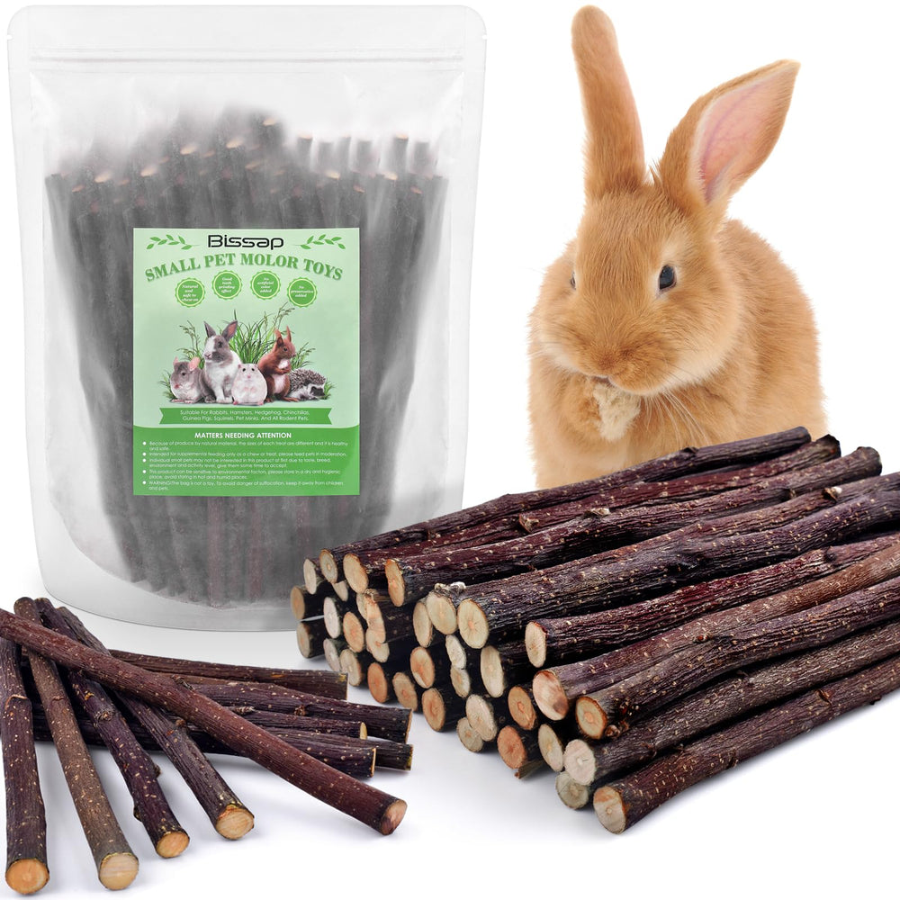 Palitos de manzana Bissap para conejos, masticación segura y deliciosa.