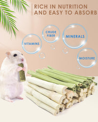 Bissap palitos para conejo de bambú y papaya, promueven masticación natural y diversión.