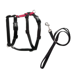Blue-9 Arnes Equilibrio ajuste-seis-puntos para comodidad y seguridad en paseos.