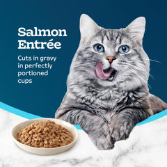 Salmón real como ingrediente principal en Tastefuls.