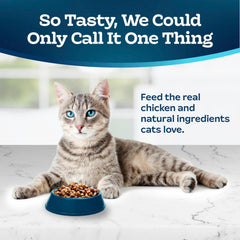 Blue Buffalo Tastefuls sin subproductos de pollo, opción natural para gatos.