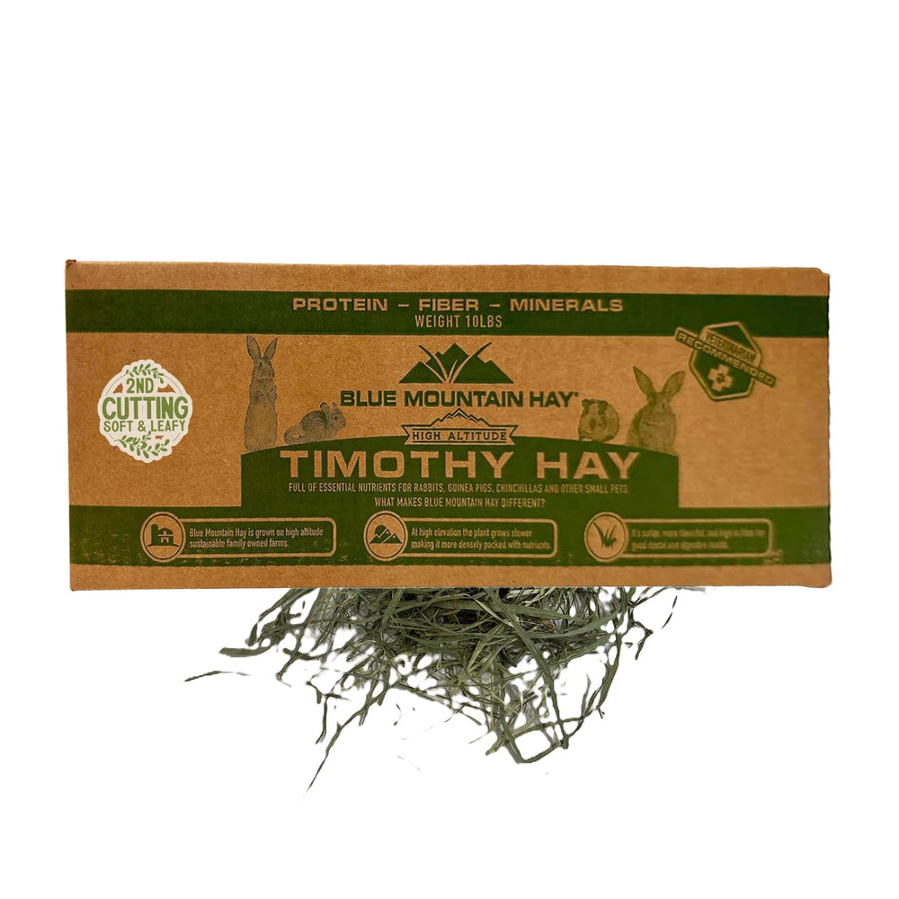 Blue Mountain Hay heno Timothy altura alta: apoyo digestivo diario.