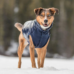 Blueberry Pet chaqueta para perro, superficie de nailon brillante, limpieza fácil