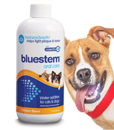 Bluestem Freshens en botella para agua dental, promueve aliento más fresco.