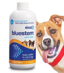 Bluestem Freshens en botella para agua dental, promueve aliento más fresco.