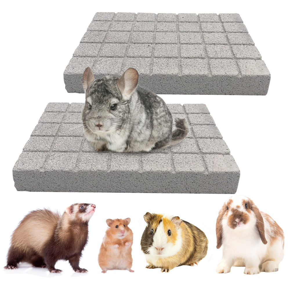 BNOSDM almohadillas afilado garras chinchilla, ideal para rascar y ejercitar.