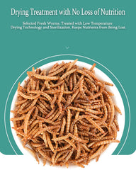 BNYEE nutrición densa en alimento seco para aves y reptiles, más nutrientes por porción.