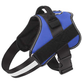 Bolux arnés para perro sin tirones en azul, ideal para paseos cómodos.