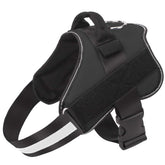 Bolux arnés para perro sin tirones con reflectante para seguridad nocturna.