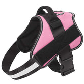 Bolux arnés para perros sin tirones, ideal para paseos tranquilos.