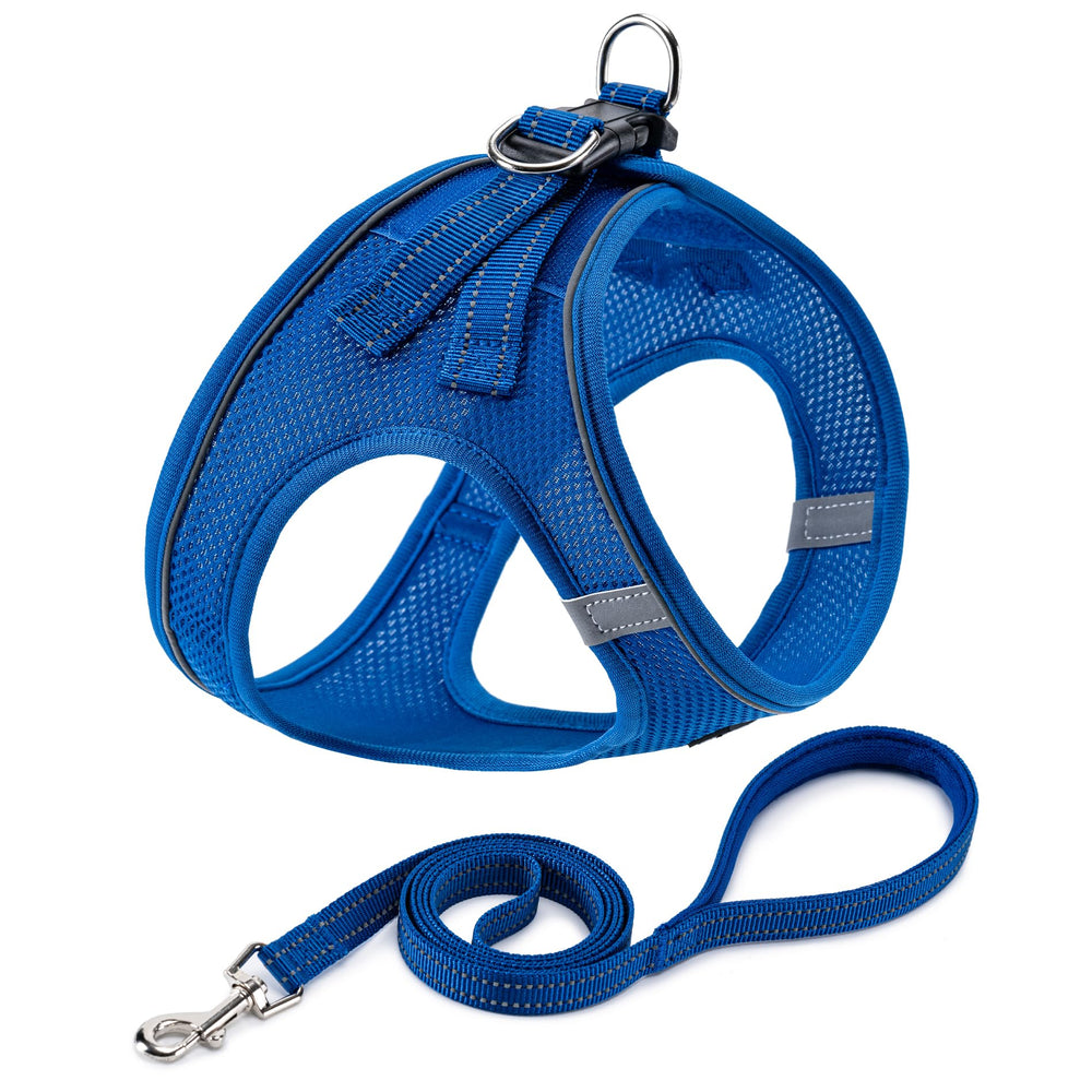 BOOMIBOO arnés azul para perro, vista frontal con reflectores para paseos seguros
