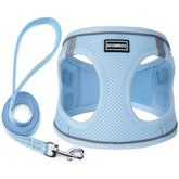 arnés boomiboo sin tirones en color azul cielo, ideal para paseos más seguros