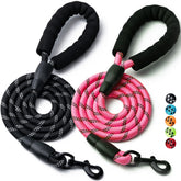 Correa BOOMIBOO para perro, conjunto de dos, longitudes 4–6 pies, paseo seguro.