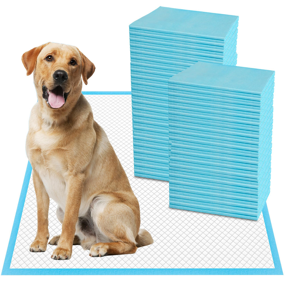 Tapete absorbente Boscute XXL con 6 capas para entrenamiento y protección de superficies.
