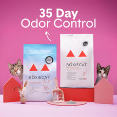 Boxiecat Arena libre de polvo para un hogar más limpio