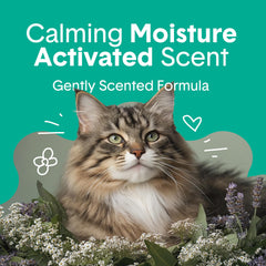 Boxiecat Litter: control de olor duradero para un ambiente más fresco.