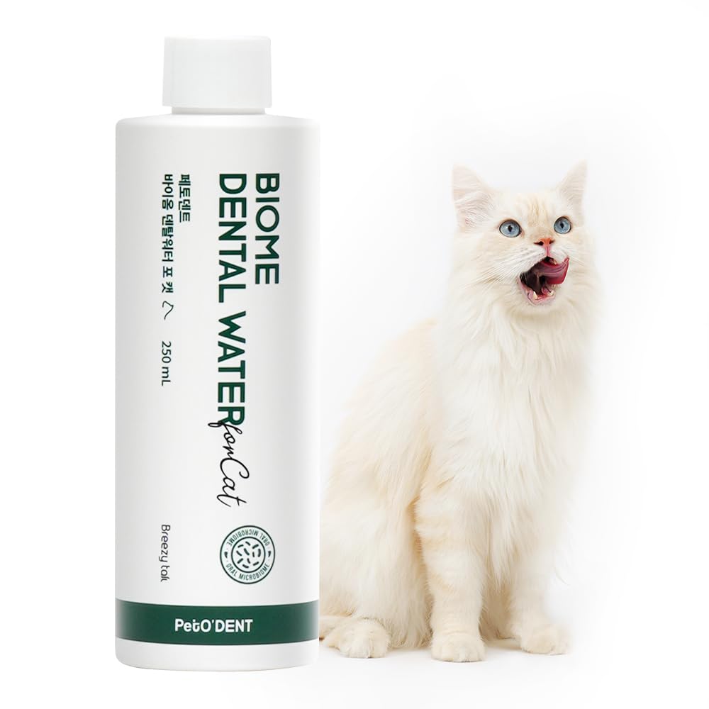Breezytail PetO’Dent: gato bebiendo agua con aditivo para aliento fresco.