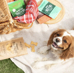 Detalle crujiente de Brew Biscuit para perros, ideal como recompensa.