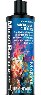 Brightwell Aquatics MicroBacter Clean, vertido de la botella, facilita la limpieza de superficies en roca viva