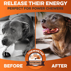 Brutus & Barnaby rollos 100% natural sin gluten aptos para perros sensibles