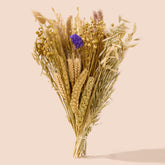 BUCATSTATE sustrato natural para hámster con flores e hierbas, para juego y descanso