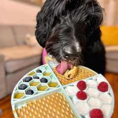 Buddy Budder: snack saludable para perros, una alternativa más ligera a golosinas comerciales.