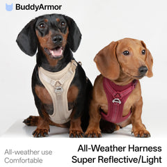 Arnés ergonómico BuddyArmor con ajuste seguro para evitar escapes.